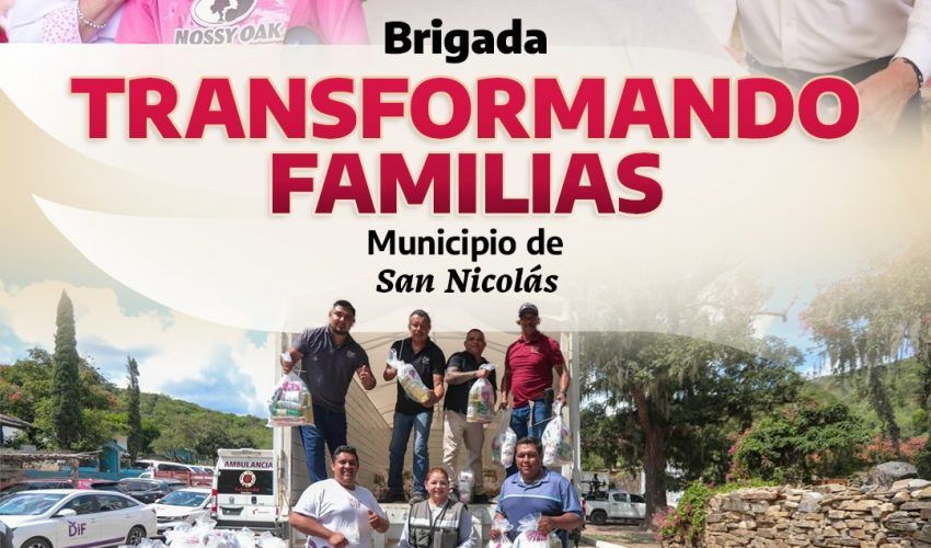 brigada-8