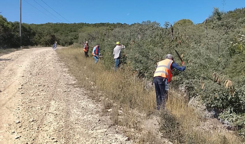 Trabajos de chapoleo al camino rural del Ejido Las Virgenes