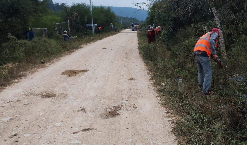 chapoleo-3-de-abril-2