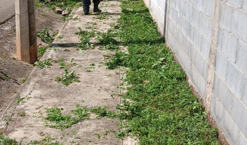 limpieza-el-palmar-1