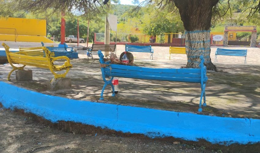 limpieza-el-palmar-3